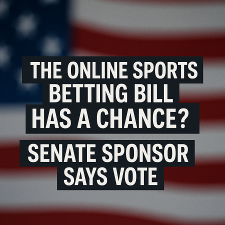 The Online Sports Betting Bill Has A Chance? Senate Sponsor Says Vote